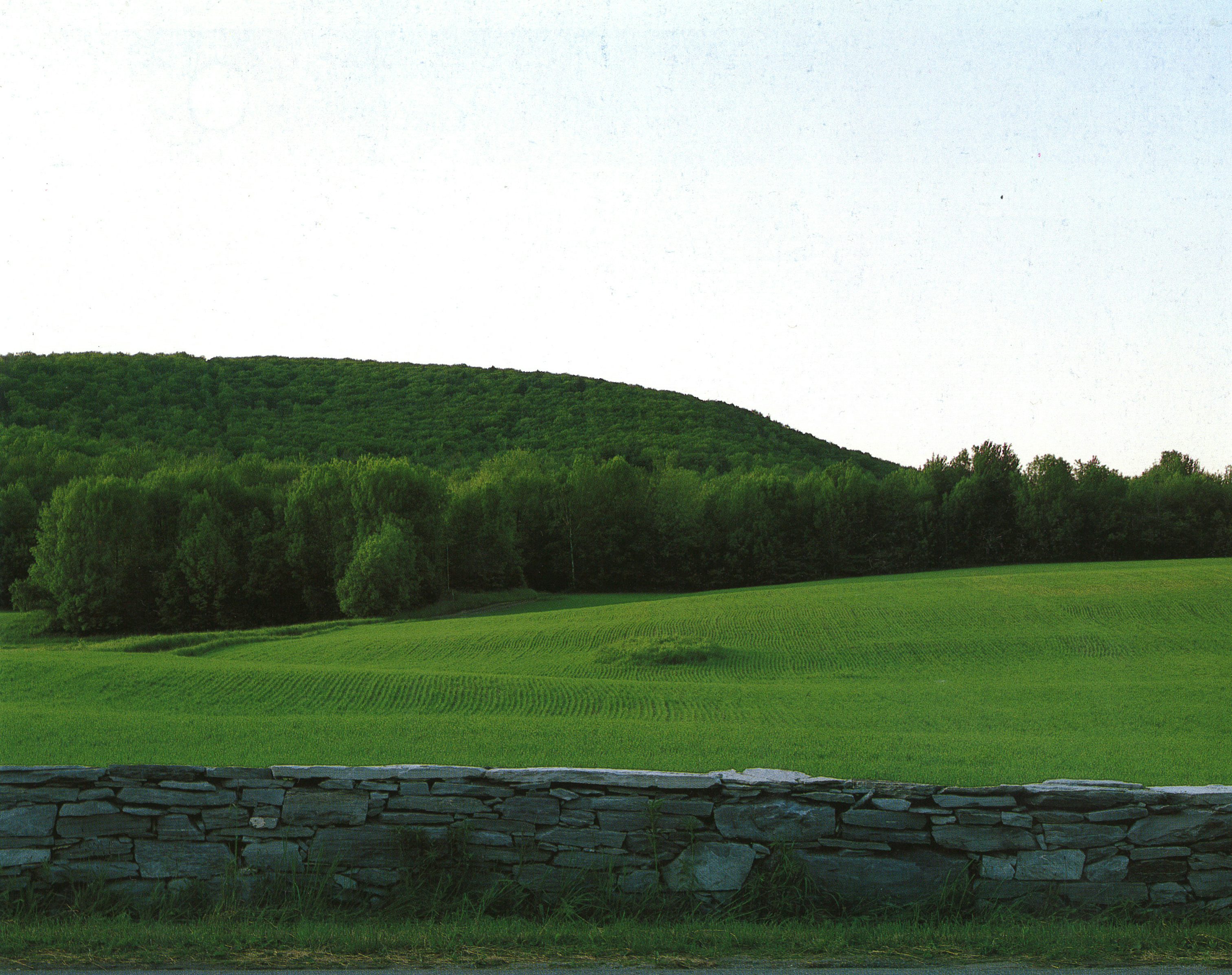 Shaker ‘families’ usually emerged on land or farm structures committed by Believers across New England. This practice eventually shaped Shaker society, as a network of villages with substantial land holdings across the country. Shaker field flanked by a drystone masonry wall that would divide fields from woodlots, Hancock Shaker Village, MA